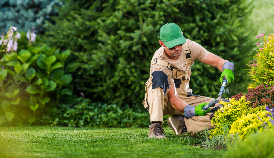 Lawn Mowing